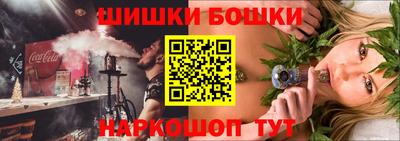 индика Моздок
