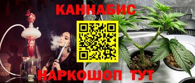 индика Моздок